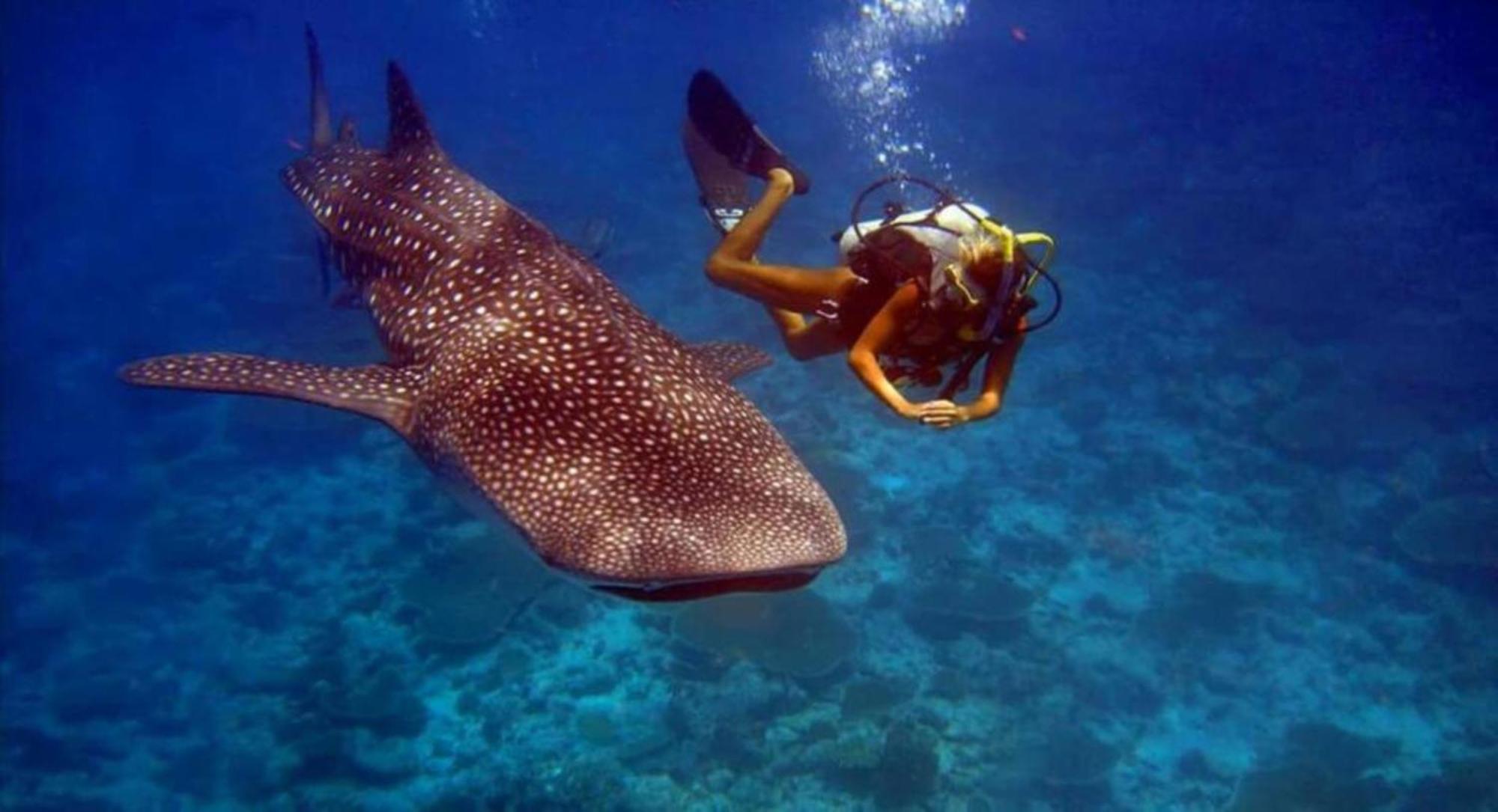 Batuta Maldives Fourson Hotell Thulusdhoo Exteriör bild